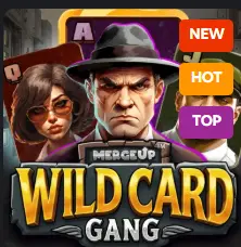 Wild Card Gang 1Red Slots
